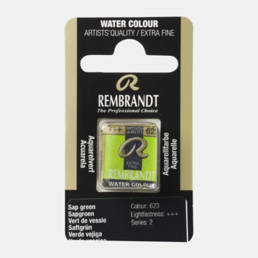 Rembrandt water colour half napje - 623 Sap green (s2)