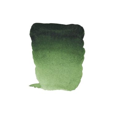 Rembrandt water colour half napje - 644 Hooker green light (s2)