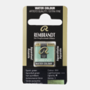 Rembrandt water colour half napje - 864 Spark green (s3)