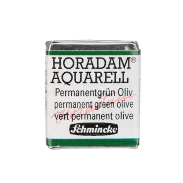 Schmincke Horadam Aquarel 1/2 napje - 534 Permanent Green Olive (s2)