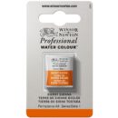 W&N Artists Aquarel 1/2 napje - 074 Burnt Sienna (s1)