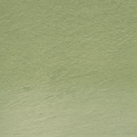 Derwent Tinted Charcoal houtskoolpotlood - TC15 Green Moss
