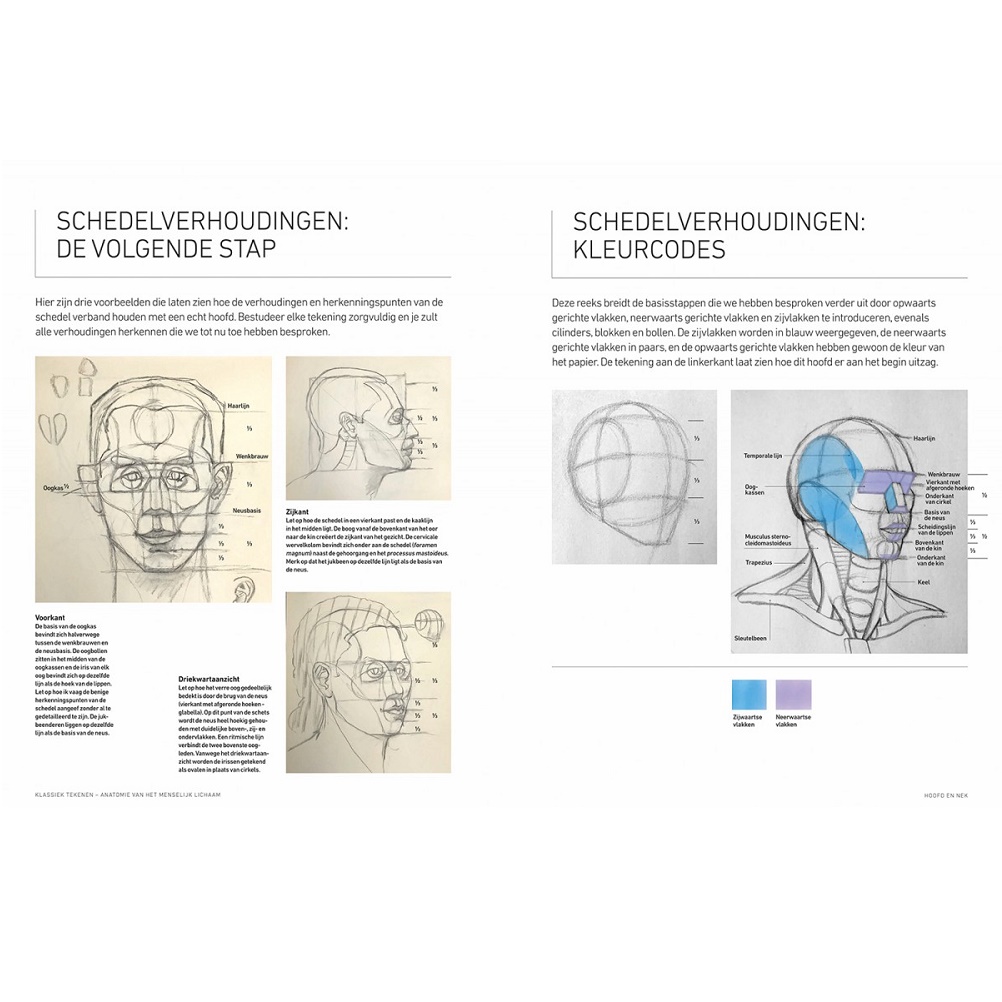 Klassiek Tekenen - Anatomie van het menselijk lichaam